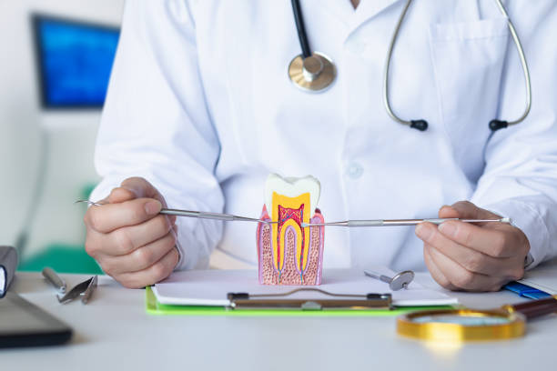 Best Chipped Tooth Repair Near Me  in Presidential Lakes Estates, NJ